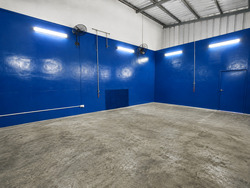 REVV (D22), Factory #609830441